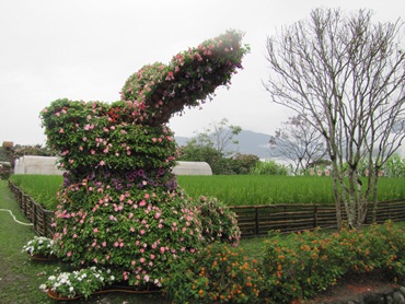 12生肖意象造型花卉-兔
