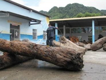 各企業主捐贈木石材-大型木材