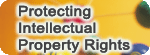 Protecing Intellectual Property Rights