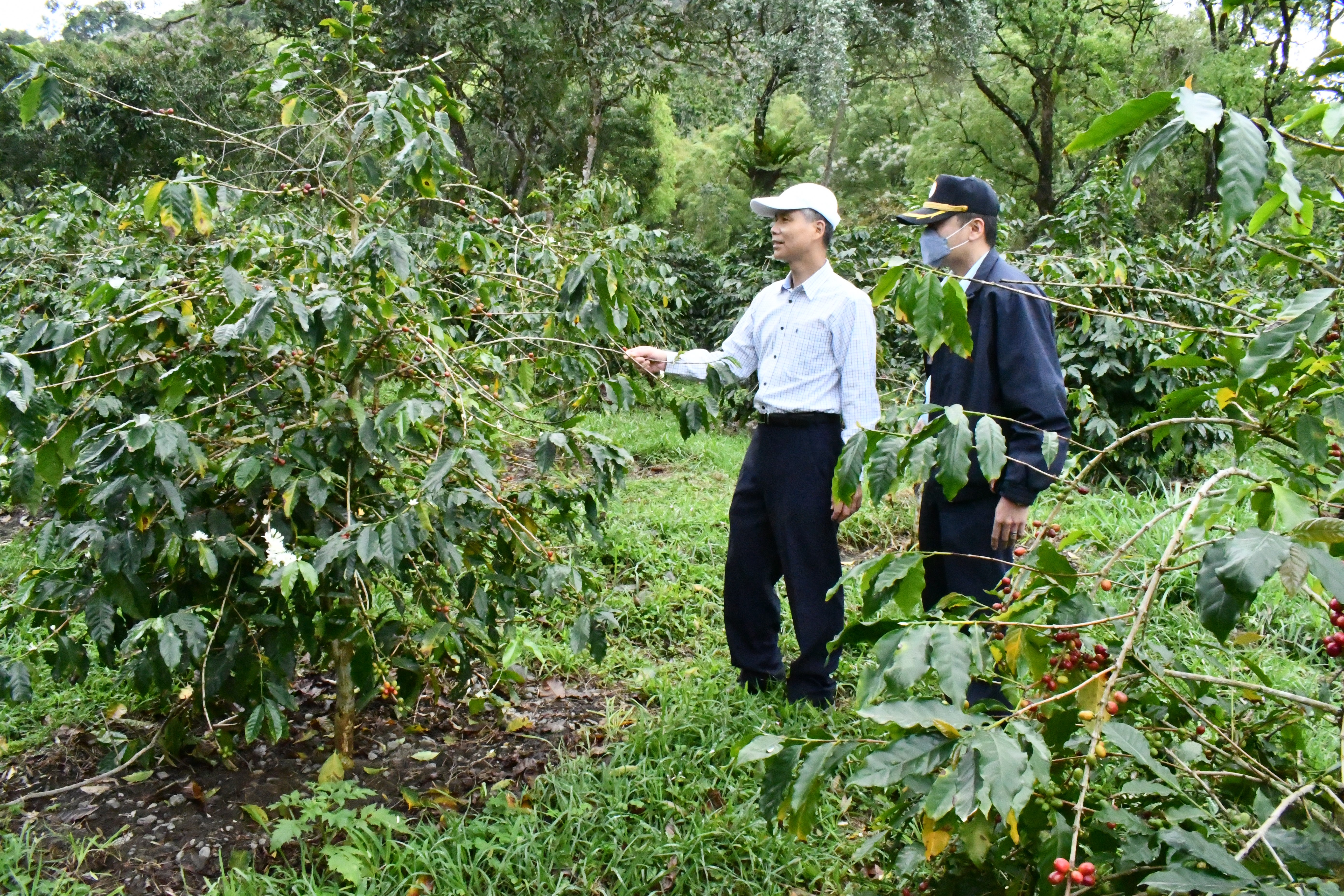 黃敬謀典獄長會同農作主管瞭解栽培情形