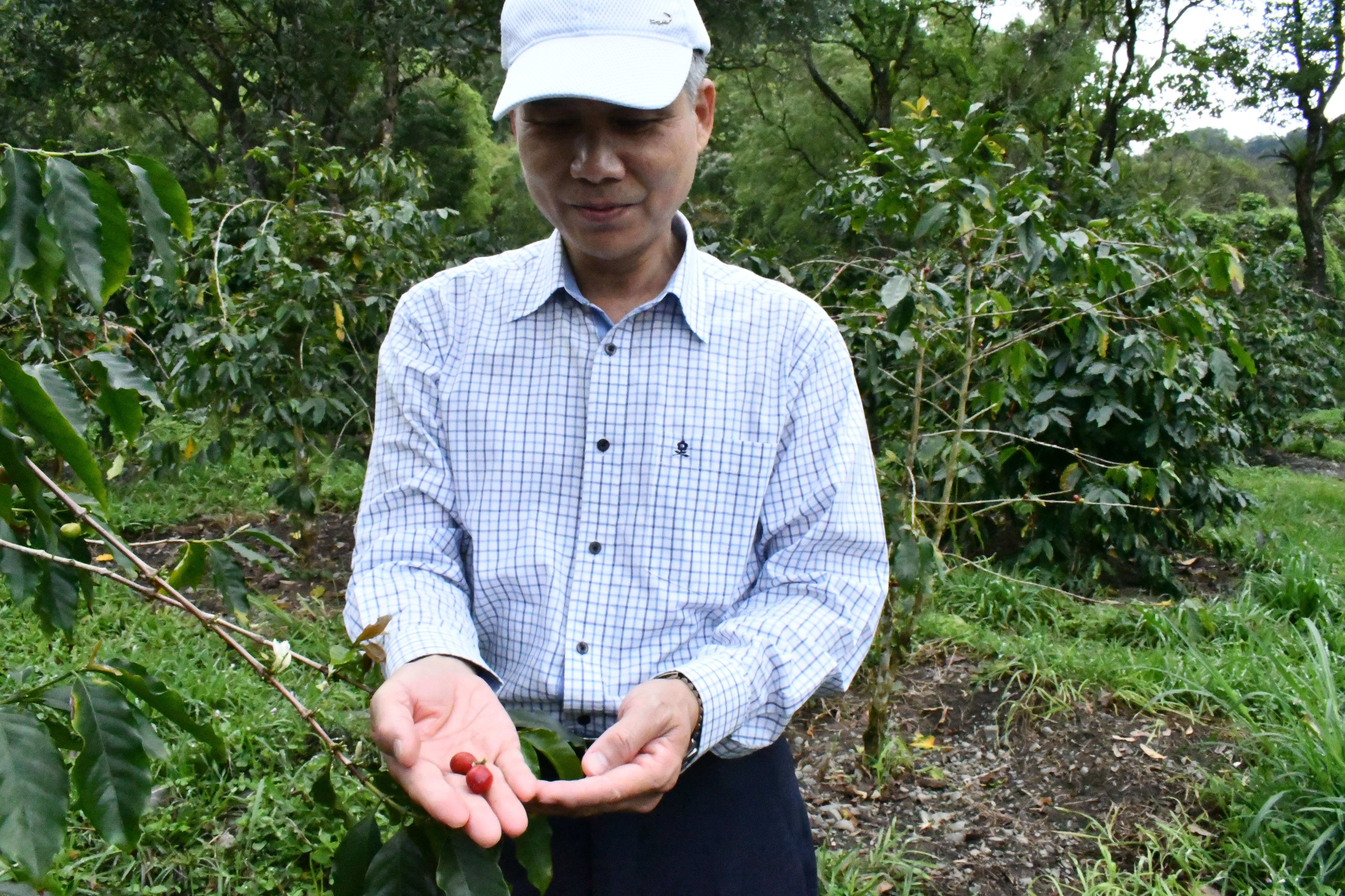 手心上的紅寶石