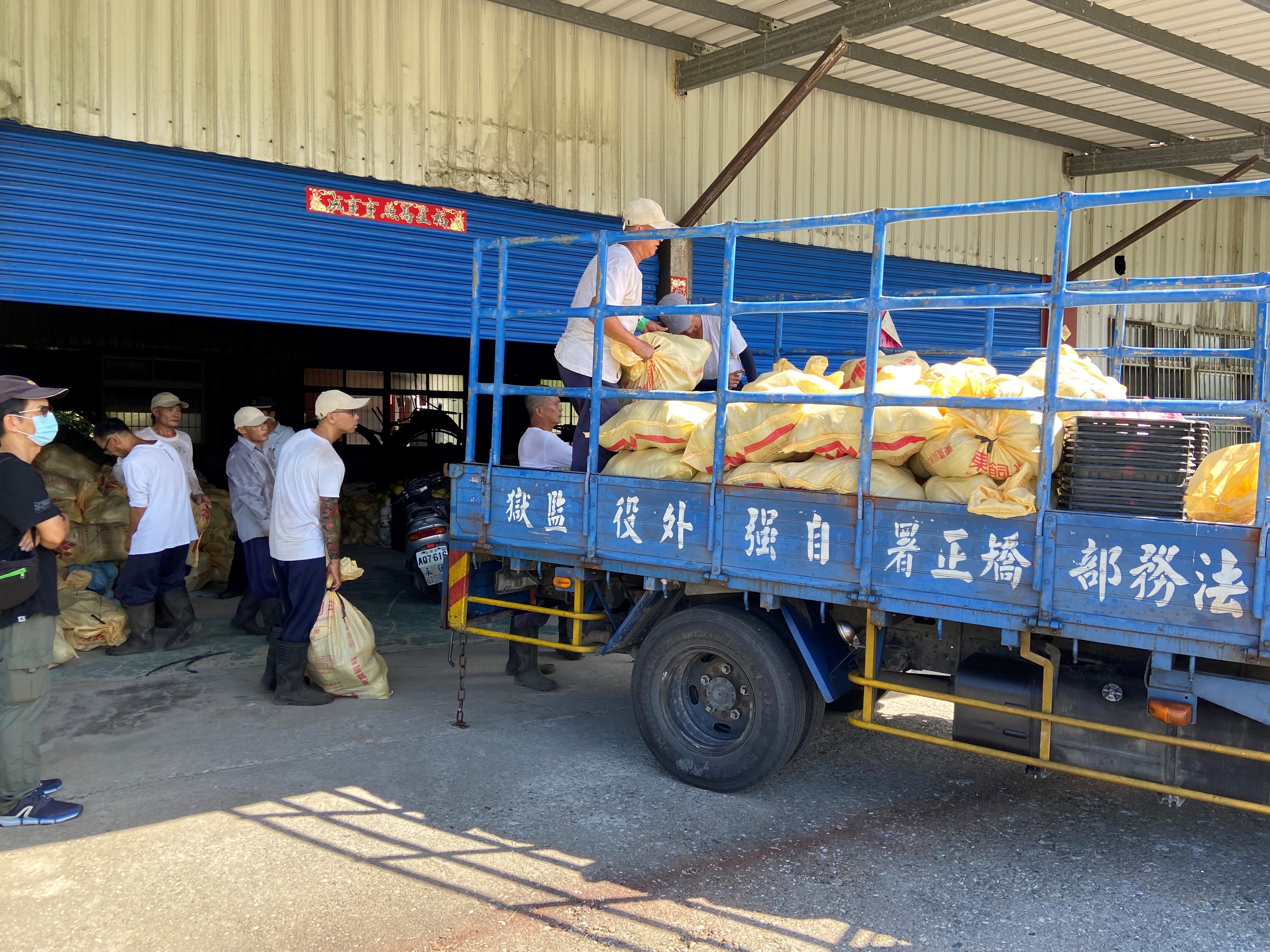 111年待出貨的文旦